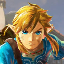 Link (The Legend of Zelda: Breath of the Wild)